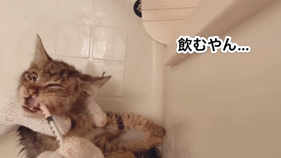 薬を飲むネココさん