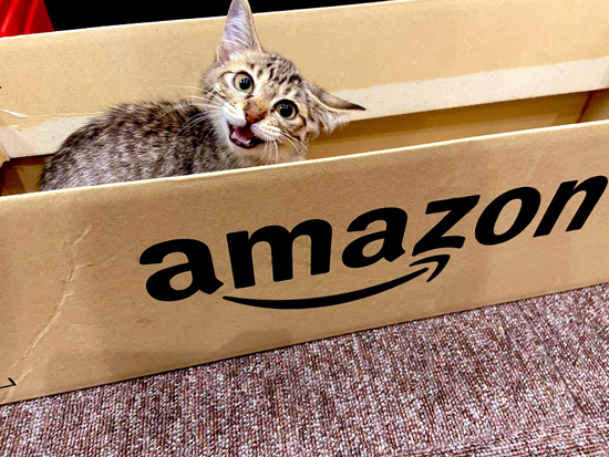 アマゾンネココさん