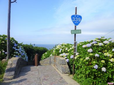 「階段国道」と書かれた補助標識