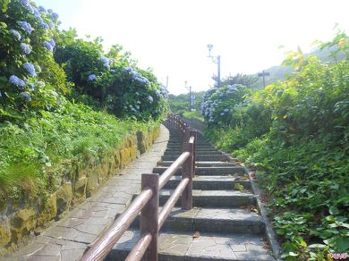 階段国道を振り返って見る