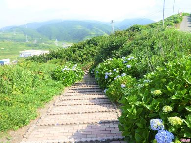 階段村道の様子