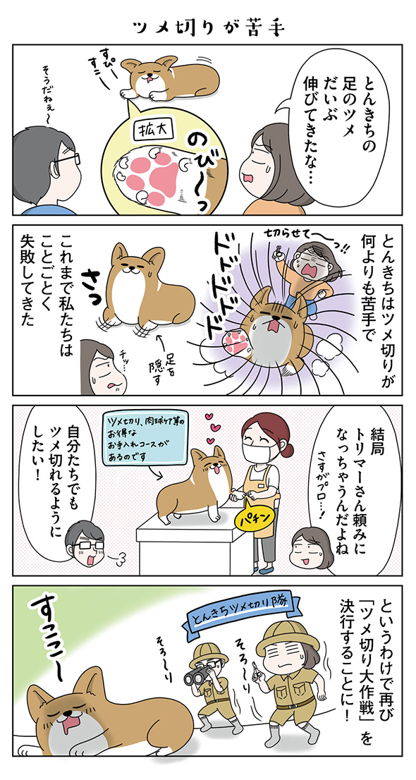 愛犬とんきちはツメ切りが苦手
