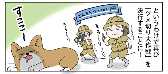 ツメ切り大作戦