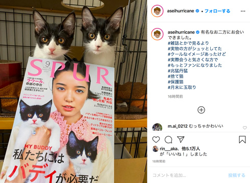 ミキ 亜生 猫 保護猫 SPUR