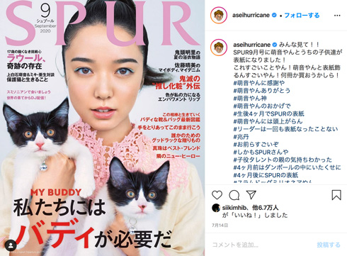 ミキ 亜生 猫 保護猫 SPUR