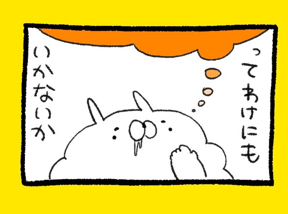 くまだよ