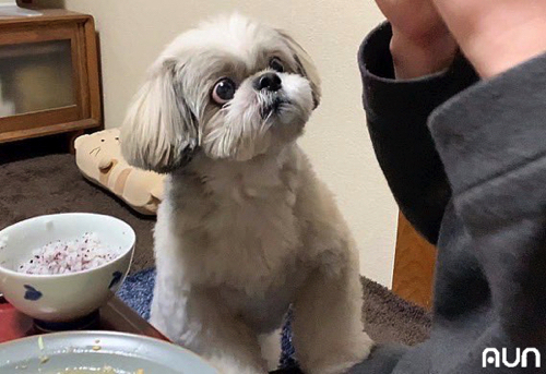 拒絶っぷりがかわいい