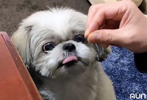拒絶っぷりがかわいい
