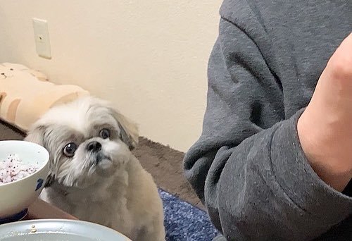 拒絶っぷりがかわいい