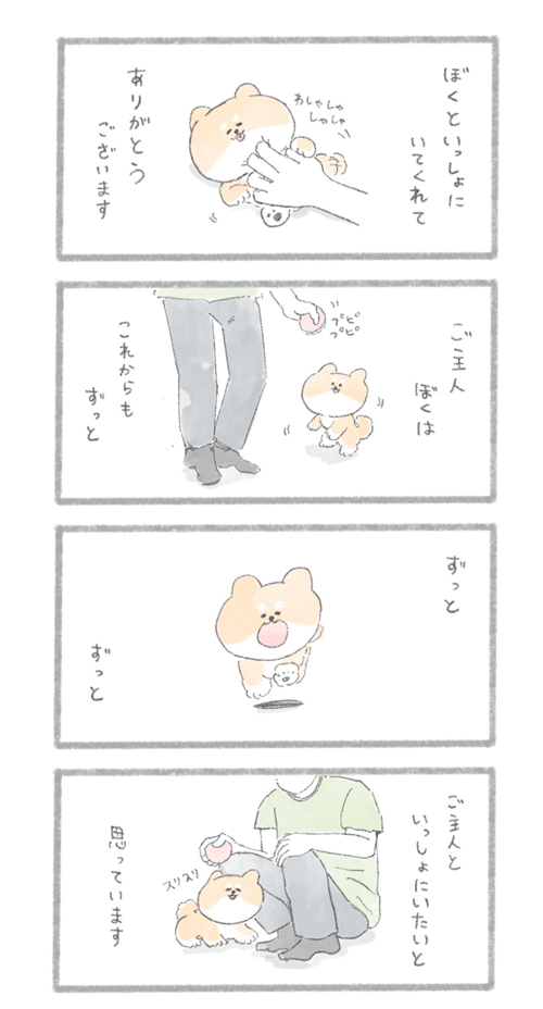 ぼくからご主人へ3