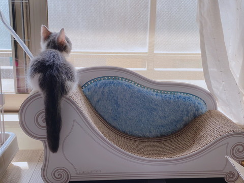 ちょっと違うちょこちゃん