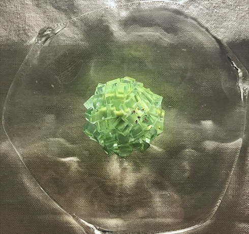 欅坂 和菓子 欅 平手