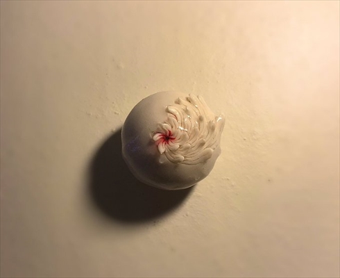 欅坂 和菓子 欅 平手