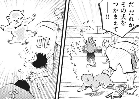 漫画 柴ばあと豆柴太 ヤマモトヨウコ 震災 3.11