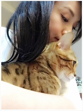 藤原紀香、子猫“まー之助”を家族に迎える 夫・片岡愛之助と早く