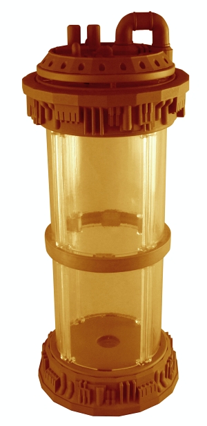 SF 培養 ディスプレイ