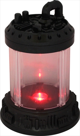 SF 培養 ディスプレイ