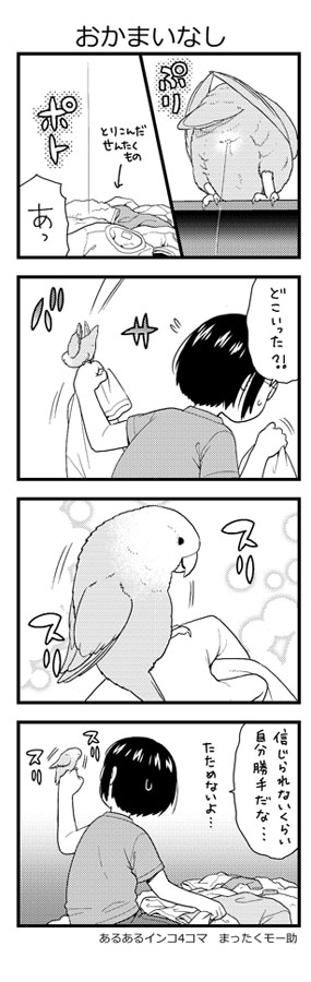おかまいなし