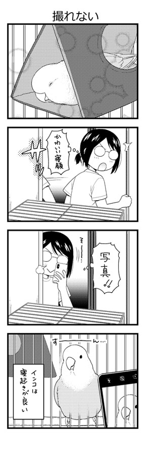 撮れない