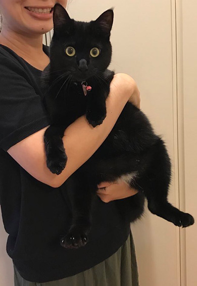 黒猫のミナさん