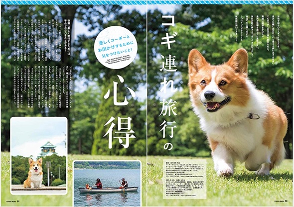 コギまる