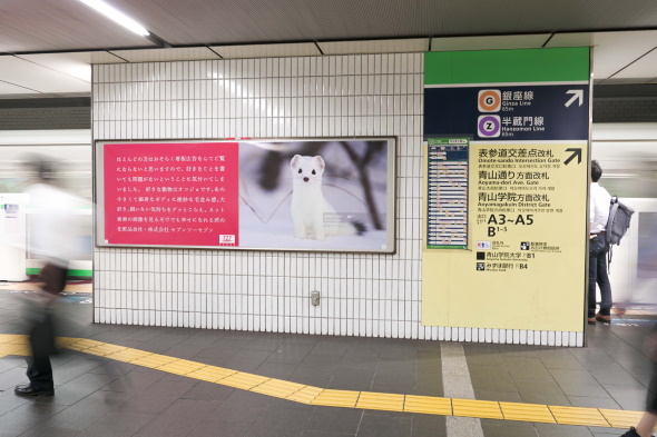 セブンツーセブン オコジョ 広告 看板 新幹線 野立て 727