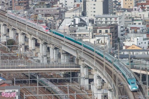 鉄道パンツ 鉄ぱん