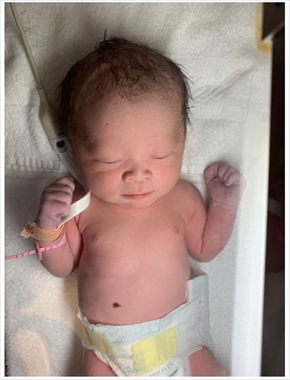 キンタロー。 娘 ちびキン ブログ ハーフバースデー 旦那