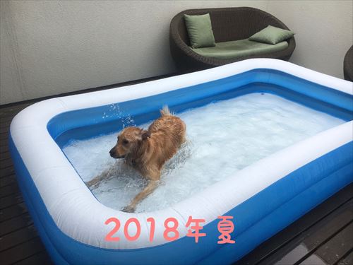 おすすめ