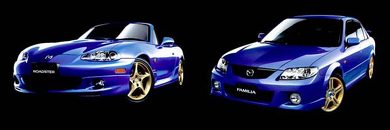 スポーツカー コンプリートカー 限定車