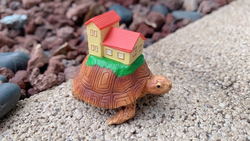 あ〜住みたいカメハウス