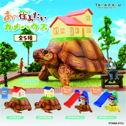 あ〜住みたいカメハウス