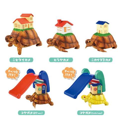 あ〜住みたいカメハウス