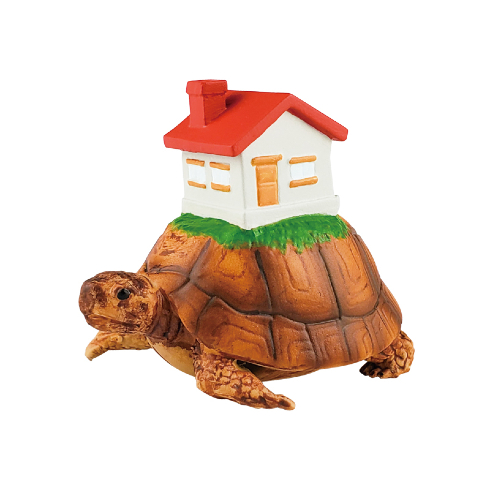 あ〜住みたいカメハウス