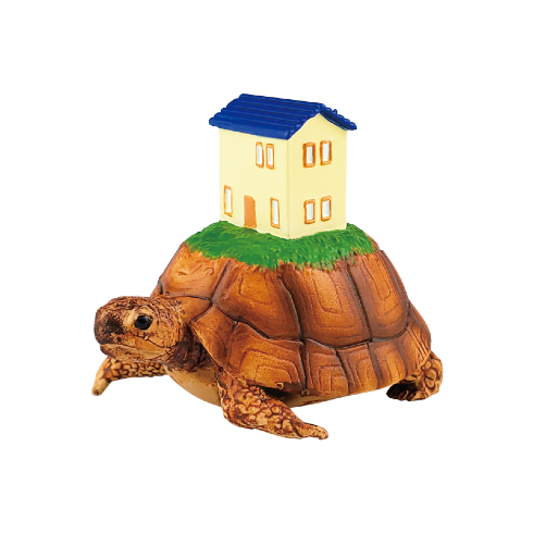 あ〜住みたいカメハウス