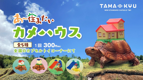 あ〜住みたいカメハウス