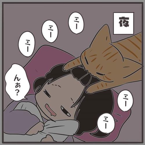 ねこあるある