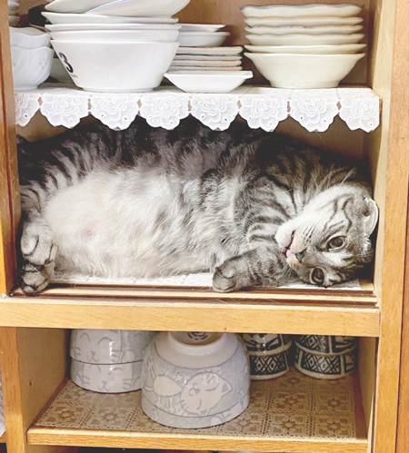 食器棚の正面から