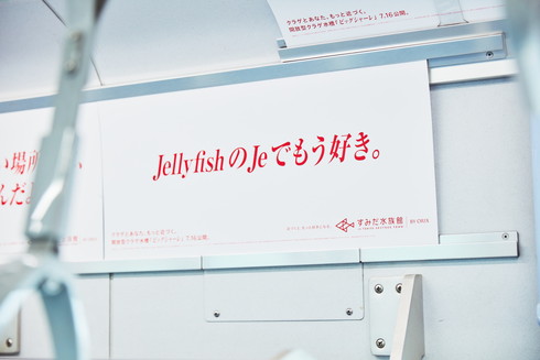 すみだ水族館 クラゲ広告