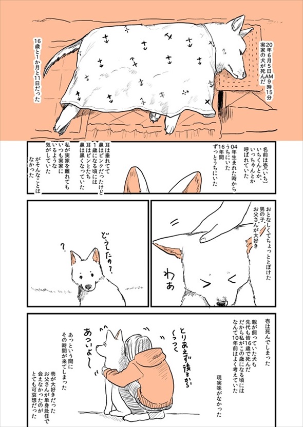 実家の犬が死んだ話