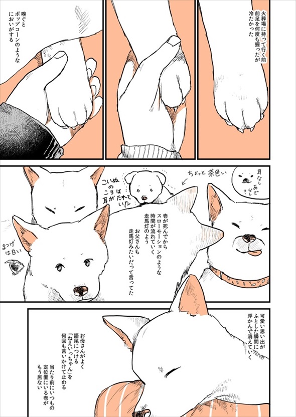 実家の犬が死んだ話