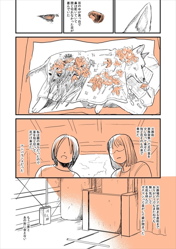 実家の犬が死んだ話