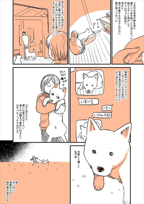 実家の犬が死んだ話