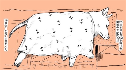 実家の犬が死んだ話