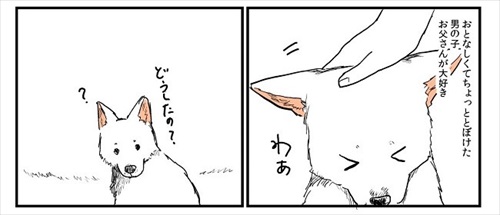 実家の犬が死んだ話