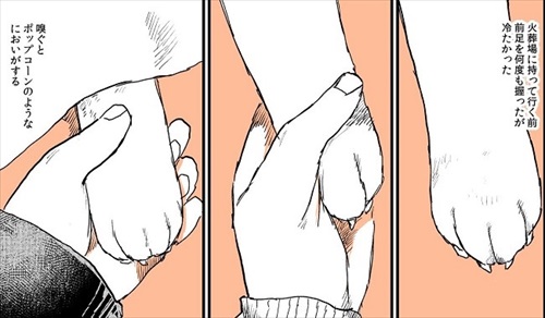 実家の犬が死んだ話