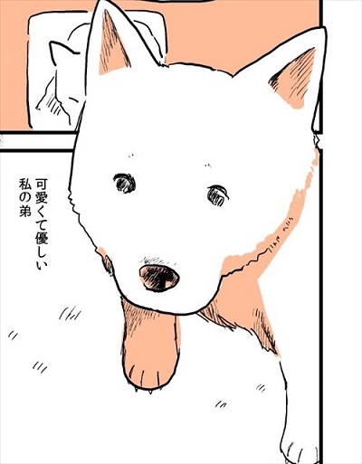 実家の犬が死んだ話