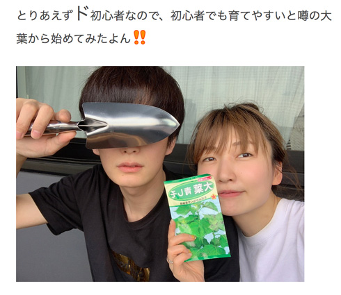 桃 あいのり 家庭菜園