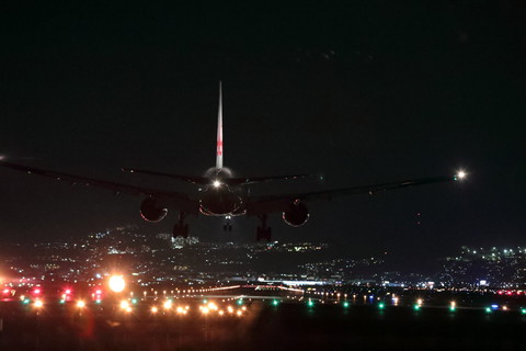 さまざまな写真