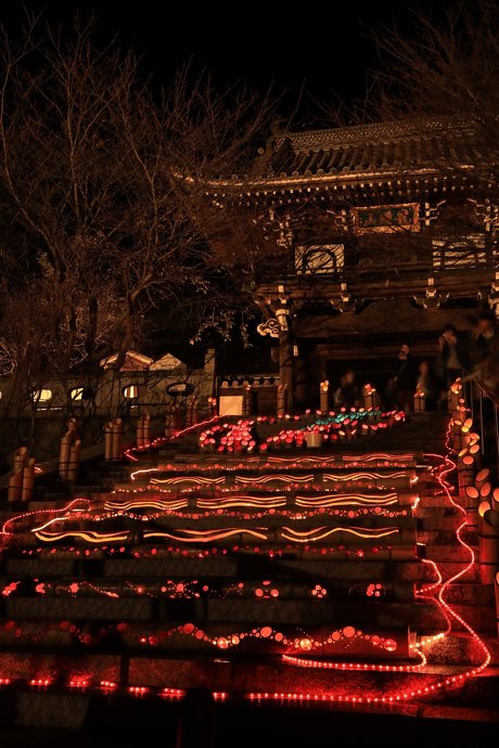 さまざまな写真